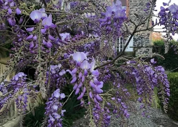 Logis De L'ombrée Hotel Combrée