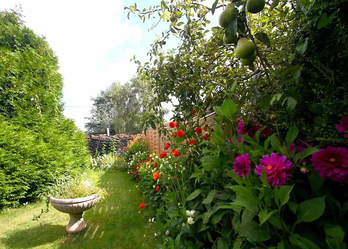 Hotel Logis De L'ombrée